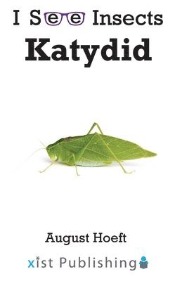 bokomslag Katydid