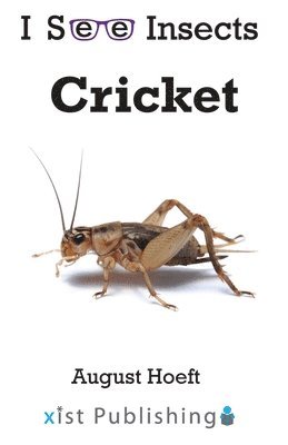 bokomslag Cricket