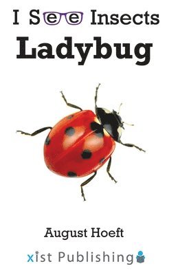 bokomslag Ladybug