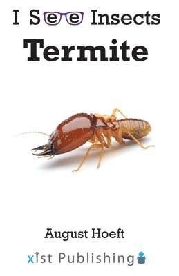 bokomslag Termite