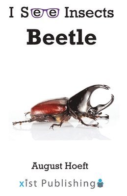 bokomslag Beetle