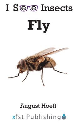 Fly 1