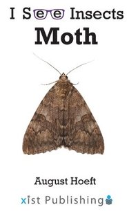 bokomslag Moth