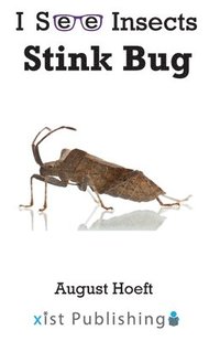 bokomslag Stink Bug