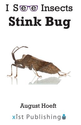 bokomslag Stink Bug