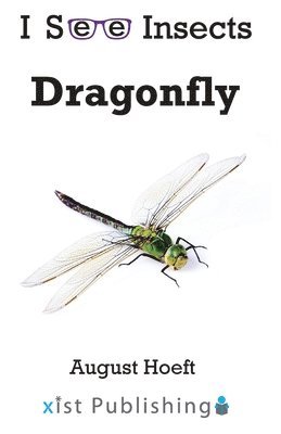 bokomslag Dragonfly