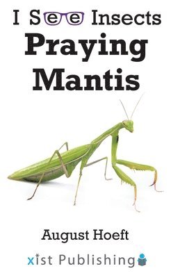 Praying Mantis 1