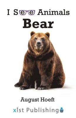 Bear 1