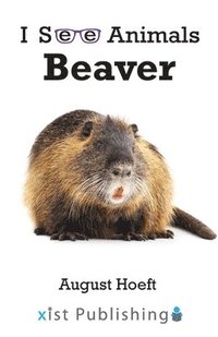 bokomslag Beaver