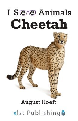 bokomslag Cheetah