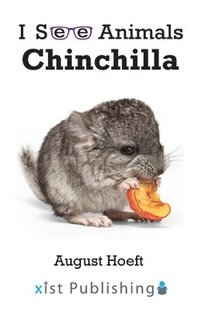 bokomslag Chinchilla