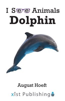 bokomslag Dolphin