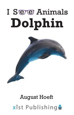 Dolphin 1