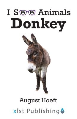 Donkey 1