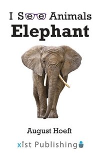 bokomslag Elephant
