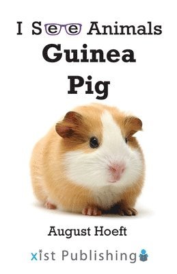 bokomslag Guinea Pig