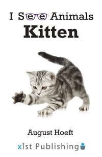 bokomslag Kitten