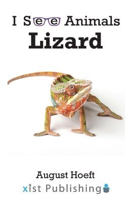 Lizard 1