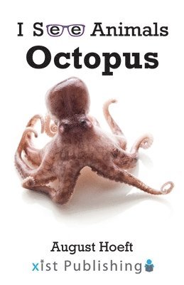 bokomslag Octopus