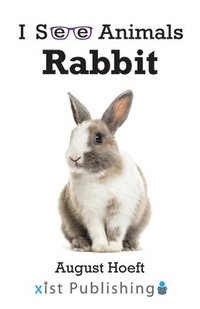 bokomslag Rabbit