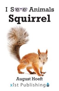 bokomslag Squirrel