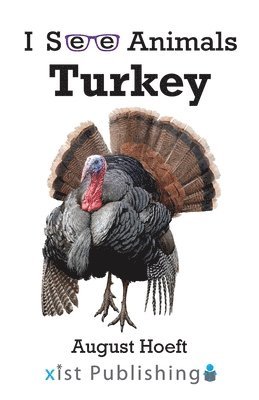 Turkey 1