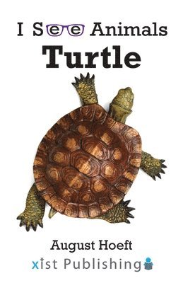 Turtle 1