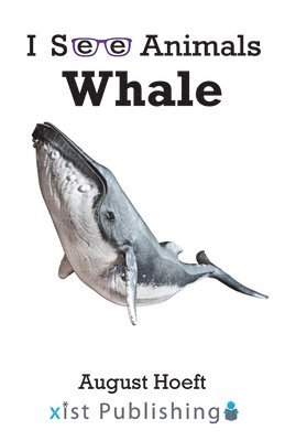 Whale 1