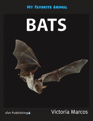 My Favorite Animal