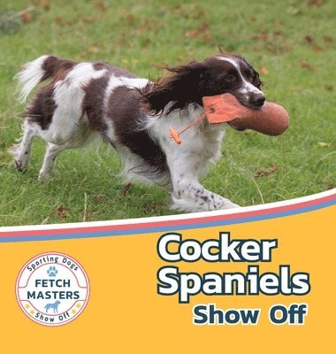 Cocker Spaniels Show Off