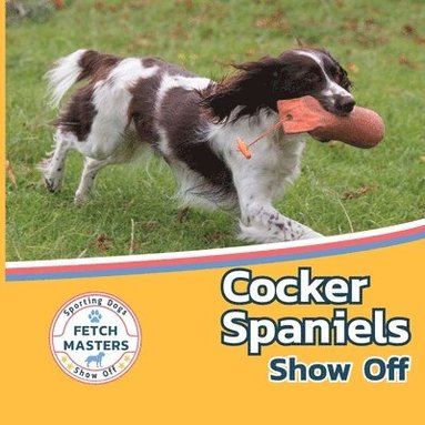 bokomslag Cocker Spaniels Show Off