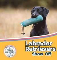 bokomslag Labrador Retrievers Show Off