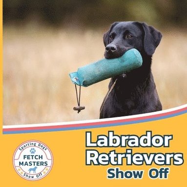 bokomslag Labrador Retrievers Show Off