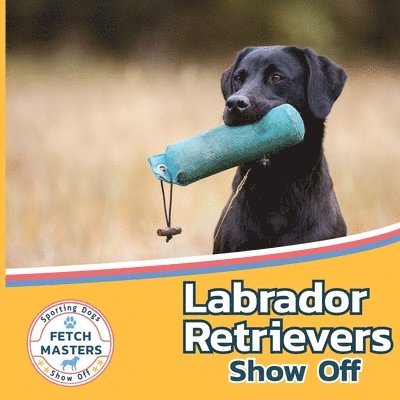 Labrador Retrievers Show Off 1