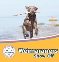 bokomslag Weimaraners Show Off