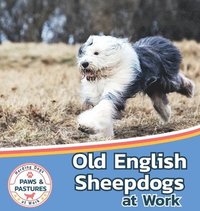 bokomslag Old English Sheepdogs at Work