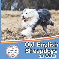 bokomslag Old English Sheepdogs at Work