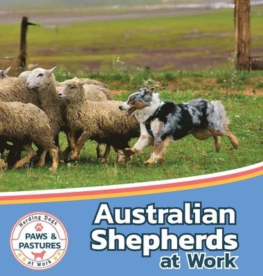 Australian Shepherds at Work 1