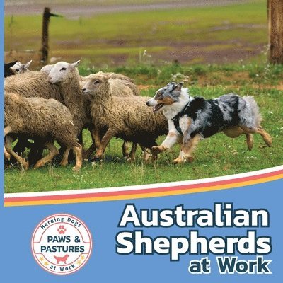 Australian Shepherds at Work 1