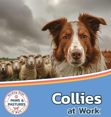 bokomslag Collies at Work