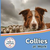 bokomslag Collies at Work