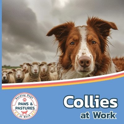 Collies at Work 1