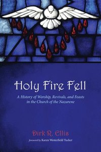 bokomslag Holy Fire Fell