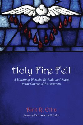 bokomslag Holy Fire Fell