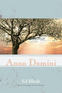 bokomslag Anno Domini