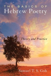bokomslag Basics of Hebrew Poetry