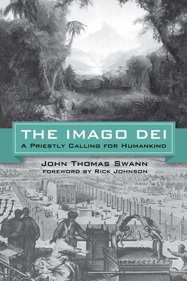 bokomslag The Imago Dei