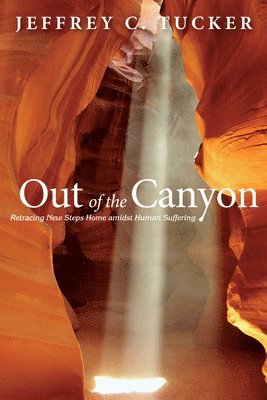 bokomslag Out of the Canyon