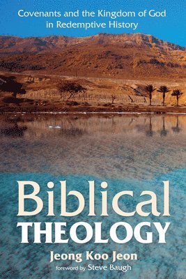 bokomslag Biblical Theology