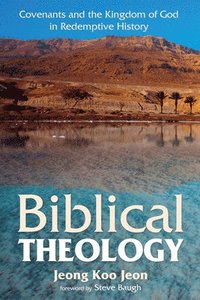 bokomslag Biblical Theology